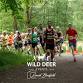 Chopwell Woods "Burger & Beer" Trail Runs event image