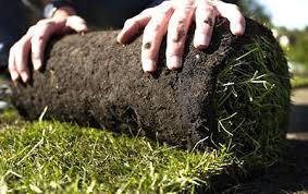 Feb 20, 2017 · 2 orang tukang potong rumput dapat memotong rumput pada sebuah lapangan selama 12 hari. Jenis Utama Rumput Rumput Rektor Fescue Merah Kriteria Pemilihan Rumput Rumput