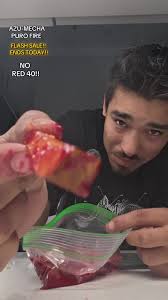 GUS.D.BUS (@ovallegustavo)