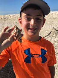 Florida Shelling Tours