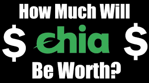 It could certainly trade back to $14,000, you could lose 30% to 40%, but you're not losing 80% to 90% of your money. How Much Will Chia Be Worth Youtube
