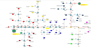 Activity Monitoring Flow Charts Using Php And Mysql Database