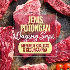 Apr 04, 2019 · beef is the meat of cattle (bos taurus).it is categorized as red meat — a term used for the meat of mammals, which contains higher amounts of iron than chicken or fish. Jenis Potongan Daging Sapi Menurut Kualitas Dan Kegunaannya Cairo Food All Arabian Indian Food