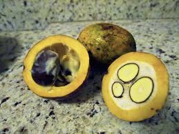 Forbidden fruit is a name given to the fruit growing in the garden of eden which god commands mankind not to eat. 73 Exotic Fruits From Around The World With Pictures Food For Net