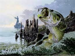 Will have bass fishing equipment such as lew's, abu garcia, basspro, duckett, dobyns, and others. Bass Fishing Wallpapers Top Free Bass Fishing Backgrounds Wallpaperaccess