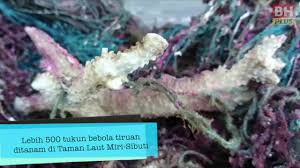 Taman laut diuruskan oleh jabatan taman laut malaysia, di bawah kementerian sumber asli dan alam sekitar. Jangan Biarkan Taman Laut Hanya Tinggal Nama