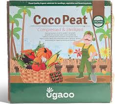 Ugaoo Cocopeat Block for Home Garden Plants 5 Kg : Amazon.in: Garden &  Outdoors