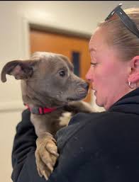 Help us wish Tianna, one of our Animal Caregivers, a happy birthday!! 🎉👇  Here she is with Rupert the Rooster 🐓