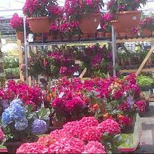We did not find results for: Loblaws Gardencentre 600 Victoria Park Ave