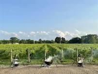 Low Country Boil Wine Dinner in the Vineyard