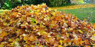 Watering in winter and fall is not much different from lawn care for all other seasons of the year, however, the only thing is that the cool weather may important for freezing cold regions: Lawn Care Fall Lawn Care Tips 2018
