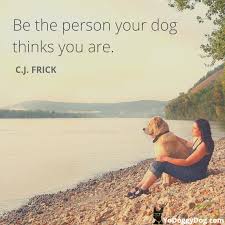 100 Dog Quotes Sayings To Make You Laugh Cry And Love Your Dog Even More Dog Quotes Dog Quotes Love Dog Quotes Funny