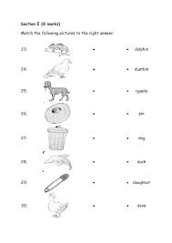 1 hour 30 minutes marks. Section E 8 Marks Match The Following Pictures To The Right Answer 23 Dolp English Exam Papers 1st Grade Math Worksheets English Worksheets For Kids