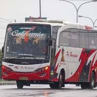 Haryanto bisa terus berkembang menjadi operator bus terbaik berawal dari keyakinan, tekad. Gambar Foto Nama Julukan Bus Po Haryanto Terbaru