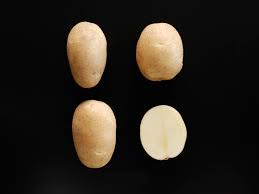 日本いも類研究会