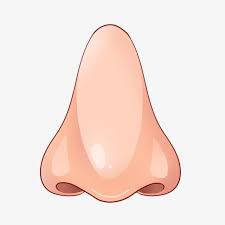 Clipart man nose, a man with a large nose, eps illustration, nose clothespin odor cartoon man png, pinocchio cartoon, picking your nose clipart, blow your nose clipart, common cold nose sneeze illustration, man cartoon clipart. Pin On Pakistan