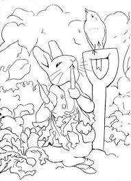 Pin On Color Me Suprized