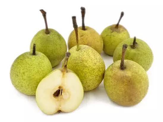 نهال گلابی جنگلی