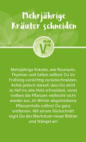 Volmary Pflanzen Online Kaufen Im Volmary Online Shop Pflanzen Krauterbeet Garten Pflanzen