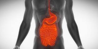 La maladie de crohn c'est quoi. Maladie De Crohn Les Traitements Naturels Pour La Combattre