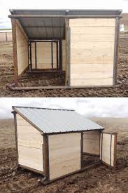 Small Animal Shelter In 2020 Goat Shelter Livestock Shelter Backyard Farming