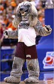 Southern Illinois Salukis Mascot Grey Dawg Southern Illinois University Southern Illinois Southern Illinois Salukis