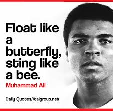 Career Lesson: Float like a butterfly, sting like a bee.
