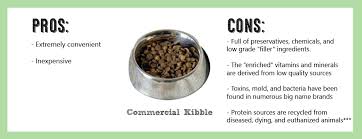 Best Dog Food For Shiba Inus My First Shiba Inu
