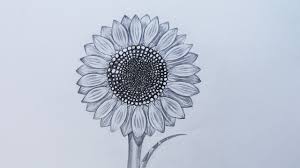 Shop for black and white sunflower wall art from the world's greatest living artists. How To Sketch A Sunflower Youtube