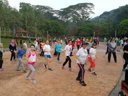 A park for jogging, running, walking, jungle trekking, mountain biking and exercise. Another Development At A Ttdi Park The Mole