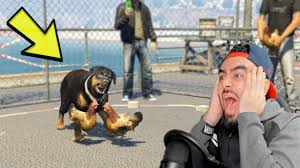 Horoz Dovus Kafesine Kopek Girerse Ne Olur Gta 5 Youtube