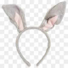 Find & download free graphic resources for rabbit ears. Clipart Bunny Ears Antelope Jackrabbit Hd Png Download 888x888 941932 Pngfind