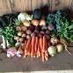 Thanksgiving Market at Sweet Land Farm event in Trumansburg, NY