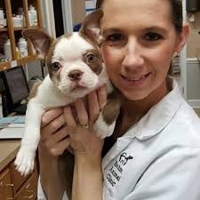 REHM ANIMAL CLINIC