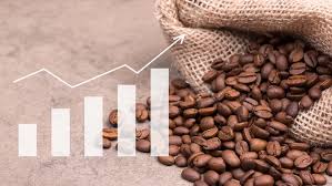 Andrea Ceballos onlyfans behind the scenes