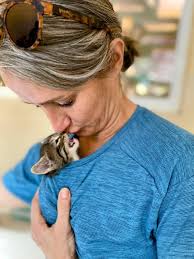 Spay and neuter campaign in La Union