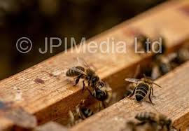 39397582-Weekend Cover story