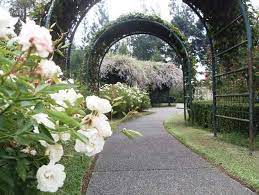 Biaya masuk taman labirin cempaka#spf=1607716768190 : Harga Tiket Masuk Taman Bunga Nusantara Wahana Juni 2021