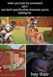 Never search overwatch in rule 34 : rmemes