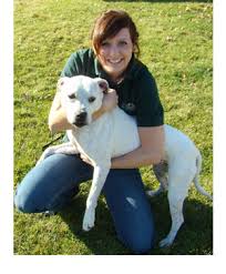 A human resources solution for europe's biggest airline. Stone Mountain Pet Lodge