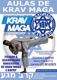 Grátis: APOSTILA COMPLETA REQUESITOS PARA FAIXA AMARELA VOL 02 - Material  Claro e Objetivo em PDF para Estudo Rápido