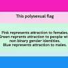 Pansexual (often shortened to pan) is the attraction to people regardless of gender. Https Encrypted Tbn0 Gstatic Com Images Q Tbn And9gcqq7rdhvbvhpx9 G7cibjxshuaspavgdfhd6u8lsuxzf7ifos G Usqp Cau