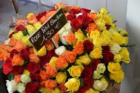 En tout il y a près de 50 nuances de rose, de. Fleuriste Au Nom De La Rose