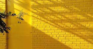 Yellow Wallpaper Tumblr Mustard Desktop Wallpaper For Desktop Tumblr Free Download 43 Ce In 2021 Yellow Aesthetic Pastel Yellow Wallpaper Aesthetic Desktop Wallpaper
