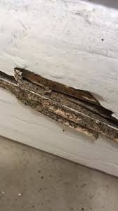 Let our professionals come and take care of the problem for you quickly. Bug Master Pest Control Posts Facebook