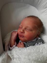 We are so in love 💙 Levi Austin is a chill baby who fits right in. Thank  you, Haley Tuttle and Jacob Tuttle for bringing us another little one to  love. ❤️