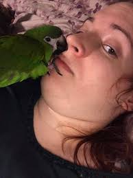 Is your cat shedding more hair?