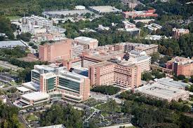 The agenda varies month to month. Residents Fellows Office Of Educational Affairs College Of Medicine University Of Florida