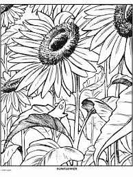 25 unique flower coloring pages ideas on. Sunflower Crayola Com