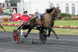 24,840 likes · 16 talking about this. Prix D Amerique Opodo Et De Deux Pour Bold Eagle Bold Eagle Trotteur Francais Etalon